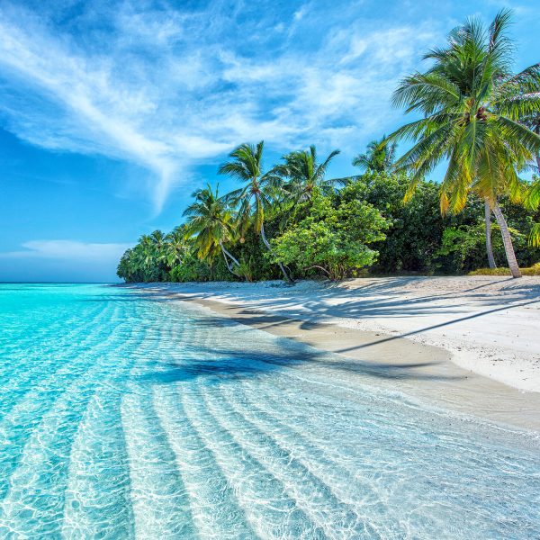 Maldives,Islands,Ocean,Tropical,Beach