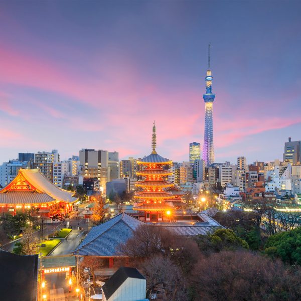 View,Of,Tokyo,Skyline,At,Sunset,In,Japan.